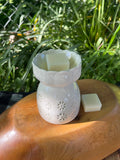 Fondant parfumé - Aloe Vera Horjane