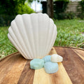 Fondant parfumé - Pastèque